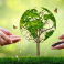 ISO 14001 y el Futuro de la Gestión Ambiental